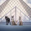 Images de profil de Angelique - Blooming Pets - Petsitting et garde d'animaux à domicile
