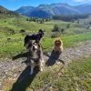 Images de profil de Thibaut - Blooming Pets - Petsitting et garde d'animaux à domicile