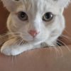 Images de profil de Lea - Blooming Pets - Petsitting et garde d'animaux à domicile