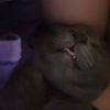 Images de profil de Lea - Blooming Pets - Petsitting et garde d'animaux à domicile