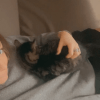 Images de profil de Léa - Blooming Pets - Petsitting et garde d'animaux à domicile