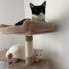 Images de profil de Léa - Blooming Pets - Petsitting et garde d'animaux à domicile