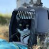 Images de profil de Léa - Blooming Pets - Petsitting et garde d'animaux à domicile