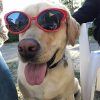 Images de profil de Léane - Blooming Pets - Petsitting et garde d'animaux à domicile