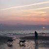 Images de profil de Léane - Blooming Pets - Petsitting et garde d'animaux à domicile