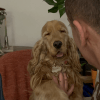 Images de profil de Lenny - Blooming Pets - Petsitting et garde d'animaux à domicile