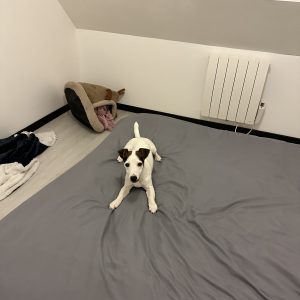 Milo