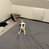 Images de profil de Leslie - Blooming Pets - Petsitting et garde d'animaux à domicile