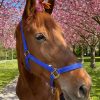 Images de profil de Louise - Blooming Pets - Petsitting et garde d'animaux à domicile