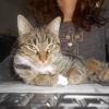 Images de profil de SABRINA - Blooming Pets - Petsitting et garde d'animaux à domicile