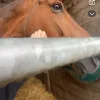 Images de profil de Lylou - Blooming Pets - Petsitting et garde d'animaux à domicile