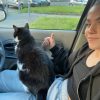 Images de profil de Lylou - Blooming Pets - Petsitting et garde d'animaux à domicile