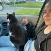 Images de profil de Lylou - Blooming Pets - Petsitting et garde d'animaux à domicile