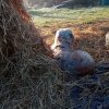 Images de profil de Maèri - Blooming Pets - Petsitting et garde d'animaux à domicile