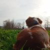 Images de profil de Maèri - Blooming Pets - Petsitting et garde d'animaux à domicile