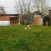 Images de profil de Maèri - Blooming Pets - Petsitting et garde d'animaux à domicile