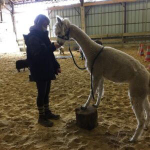Images de profil de MANON - Blooming Pets - Petsitting et garde d'animaux Ă domicile