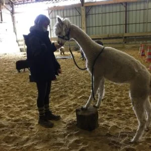 Images de profil de MANON - Blooming Pets - Petsitting et garde d'animaux à domicile