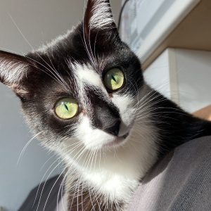 Images de profil de Margaux - Blooming Pets - Petsitting et garde d'animaux à domicile