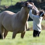 Image de profil de Marie - Blooming Pets - Petsitting et garde d'animaux à domicile
