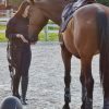 Images de profil de Marie-Lou - Blooming Pets - Petsitting et garde d'animaux à domicile