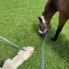 Images de profil de Marie-Lou - Blooming Pets - Petsitting et garde d'animaux à domicile