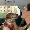 Images de profil de Marina - Blooming Pets - Petsitting et garde d'animaux à domicile