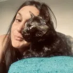Kali Mon Chat  European Shorthair (Européen) Femelle - Garde d'animaux à domicile