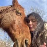 Sydney Mon Cheval  AQPS Femelle - Garde d'animaux à domicile