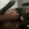 Images de profil de Mélina - Blooming Pets - Petsitting et garde d'animaux à domicile