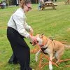 Images de profil de Maïlys - Blooming Pets - Petsitting et garde d'animaux à domicile