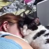 Images de profil de Morgane - Blooming Pets - Petsitting et garde d'animaux à domicile