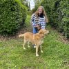 Images de profil de Margaux - Blooming Pets - Petsitting et garde d'animaux à domicile
