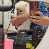 Images de profil de Naila - Blooming Pets - Petsitting et garde d'animaux à domicile