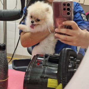 Images de profil de Naila - Blooming Pets - Petsitting et garde d'animaux à domicile
