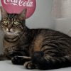 Zohra - Blooming Pets - Petsitting et garde d'animaux à domicile