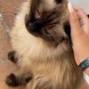 Images de profil de Nina - Blooming Pets - Petsitting et garde d'animaux à domicile