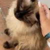 Images de profil de Nina - Blooming Pets - Petsitting et garde d'animaux Ă domicile