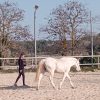 Images de profil de angelina - Blooming Pets - Petsitting et garde d'animaux à domicile