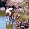 Images de profil de angelina - Blooming Pets - Petsitting et garde d'animaux à domicile