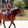 Images de profil de angelina - Blooming Pets - Petsitting et garde d'animaux à domicile
