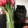 Images de profil de Nina - Blooming Pets - Petsitting et garde d'animaux à domicile