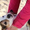 Images de profil de Nina - Blooming Pets - Petsitting et garde d'animaux à domicile