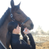 Images de profil de Niemy - Blooming Pets - Petsitting et garde d'animaux à domicile