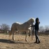 Images de profil de Niemy - Blooming Pets - Petsitting et garde d'animaux à domicile