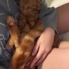 Images de profil de Océane - Blooming Pets - Petsitting et garde d'animaux à domicile