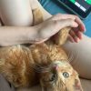 Images de profil de Océane - Blooming Pets - Petsitting et garde d'animaux à domicile