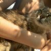 Images de profil de Océane - Blooming Pets - Petsitting et garde d'animaux à domicile
