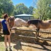 Images de profil de Ophélie - Blooming Pets - Petsitting et garde d'animaux à domicile
