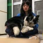 Image de profil de rui - Blooming Pets - Petsitting et garde d'animaux à domicile